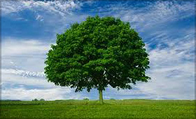 Jis Standard Batteries